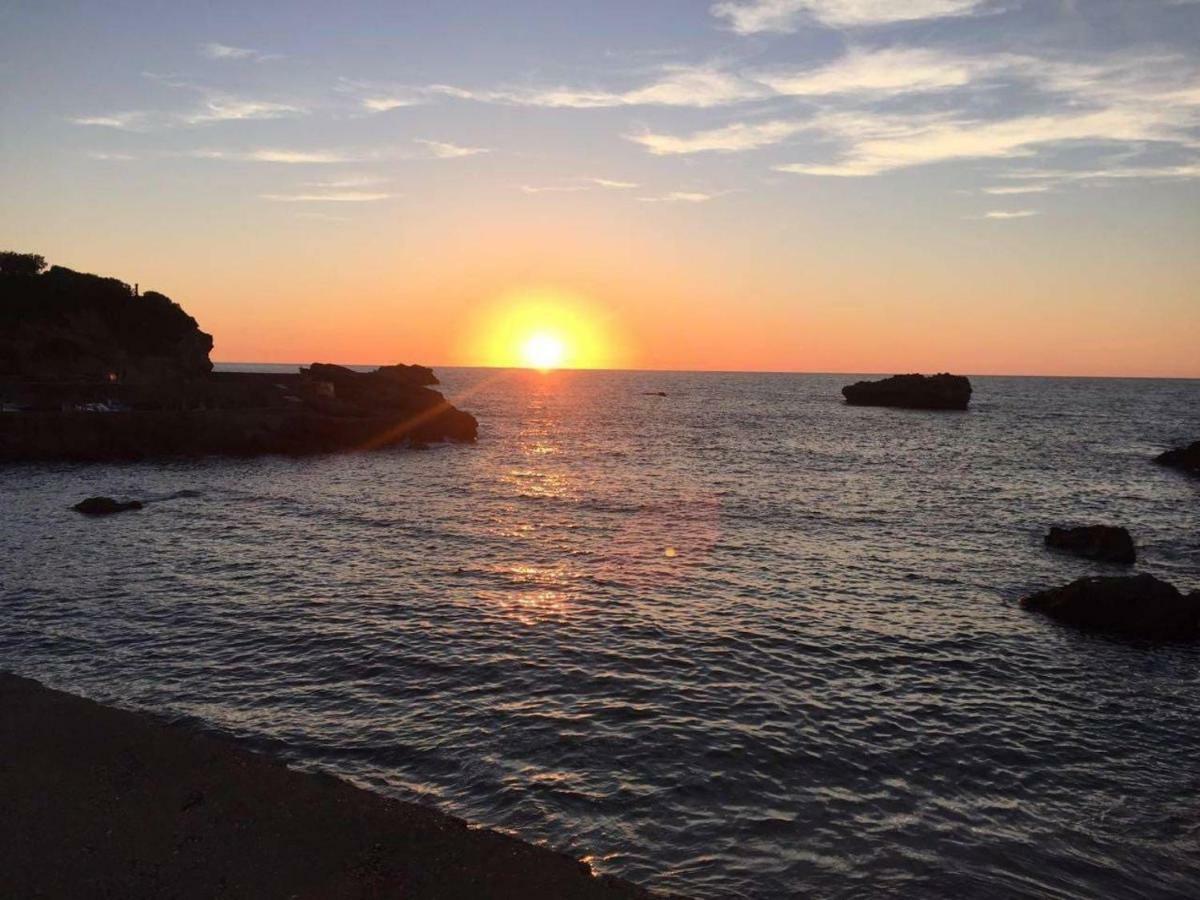 Petit Appartement Douillet Tres Bien Situe Biarritz Eksteriør bilde